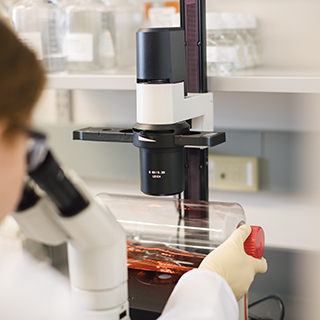 Research scientist examining contents of a roller bottle in the Spark Therapeutics laboratory