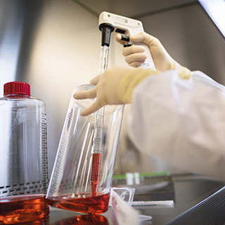 Research scientist working with a roller bottle in the Spark Therapeutics laboratory