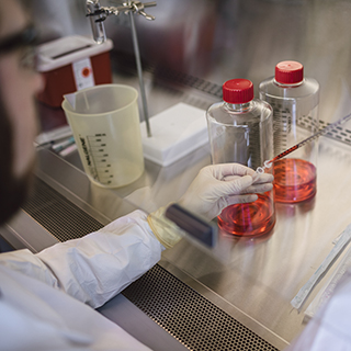 Research scientist transferring contents from roller bottles to vials in the Spark Therapeutics laboratory